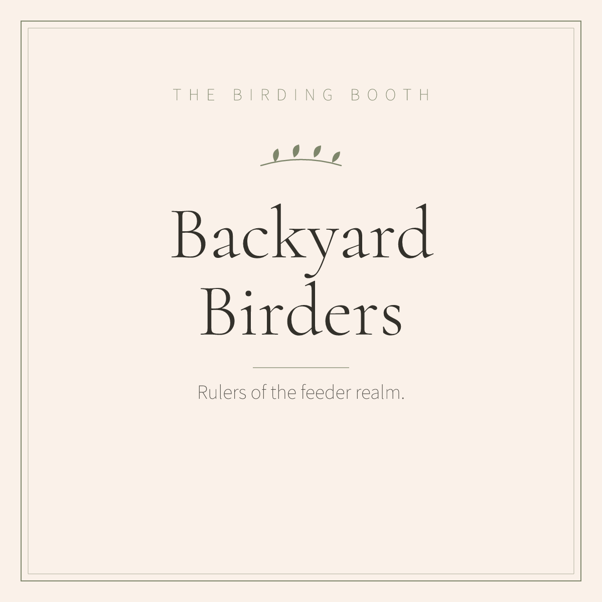 Backyard bird feeder drama — a field guide to the usual suspects